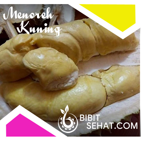 Menoreh Kuning